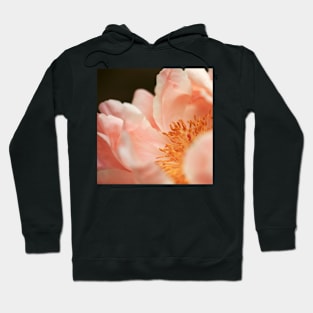 Paeonia #3 Hoodie